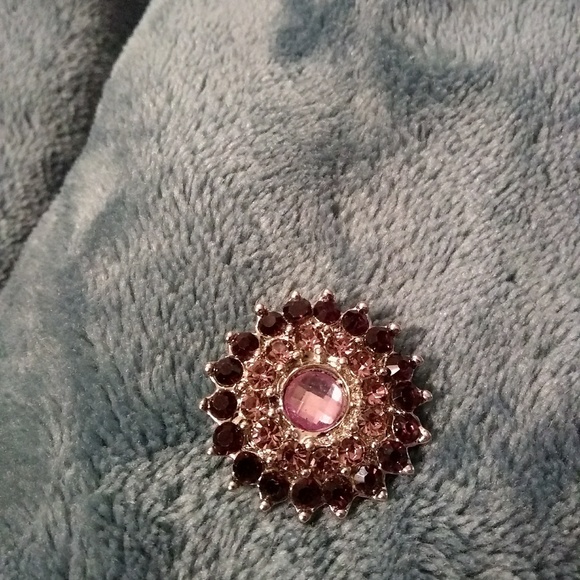 Snaps - Picture 3 of 3